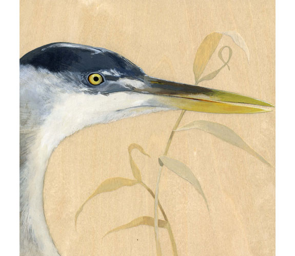 "Great Blue Heron" by Kristen Etmund